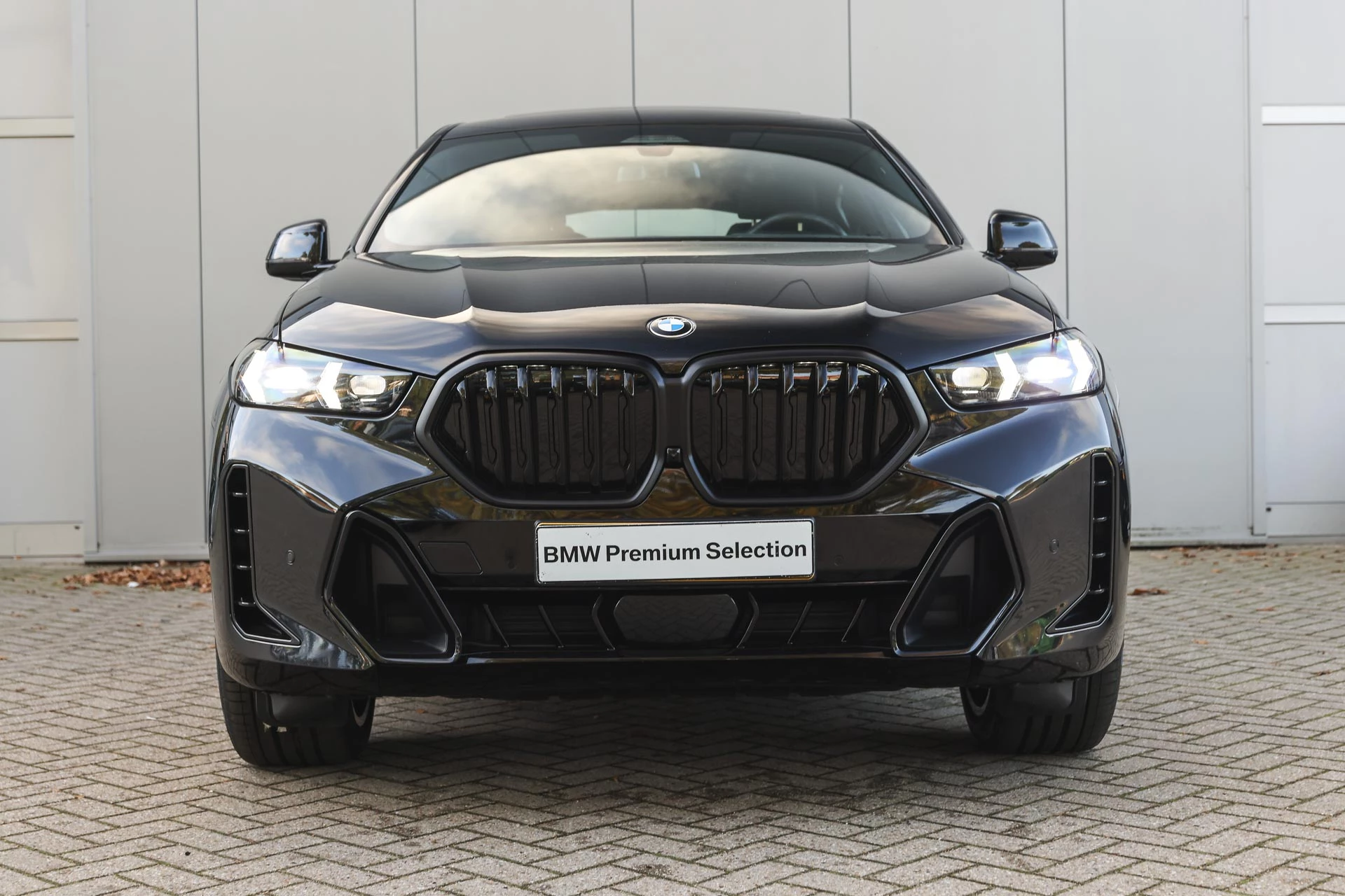 Hoofdafbeelding BMW X6