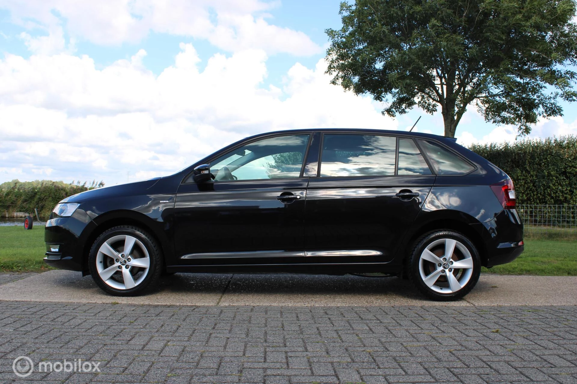 Hoofdafbeelding Škoda Rapid