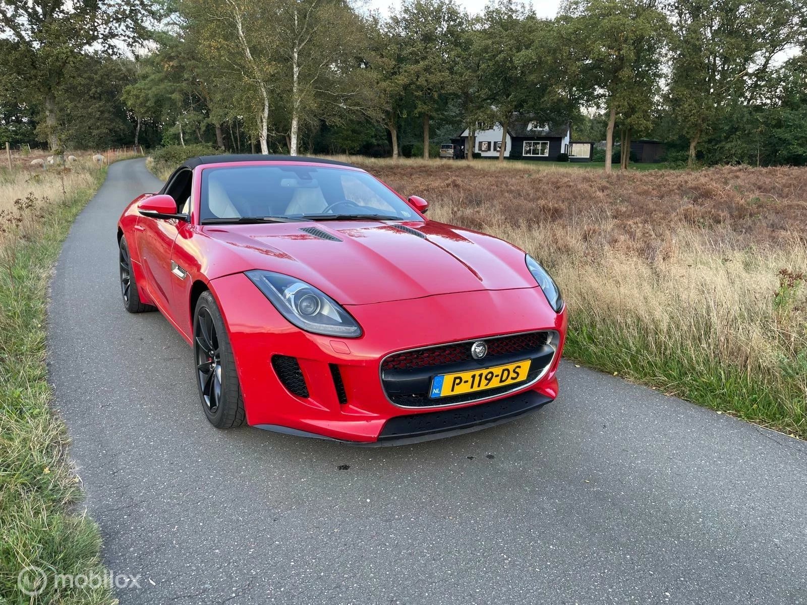 Hoofdafbeelding Jaguar F-Type