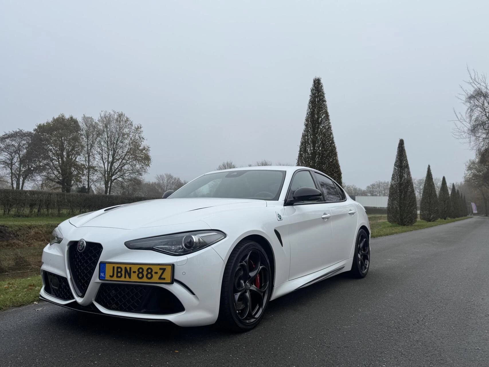 Hoofdafbeelding Alfa Romeo Giulia