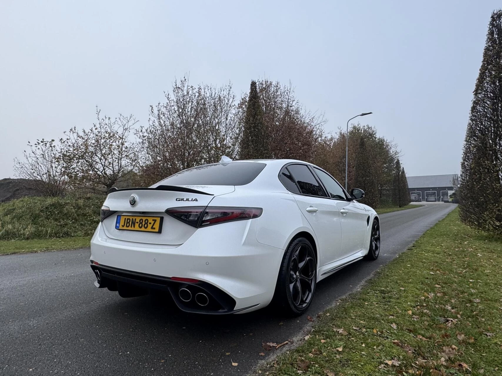 Hoofdafbeelding Alfa Romeo Giulia