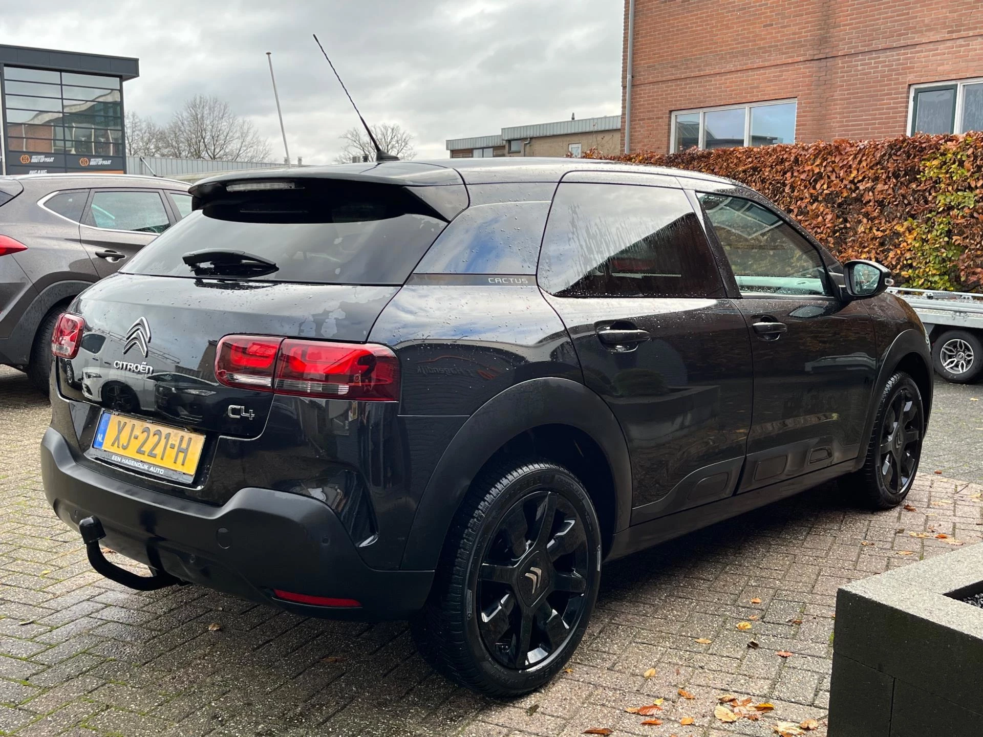 Hoofdafbeelding Citroën C4 Cactus