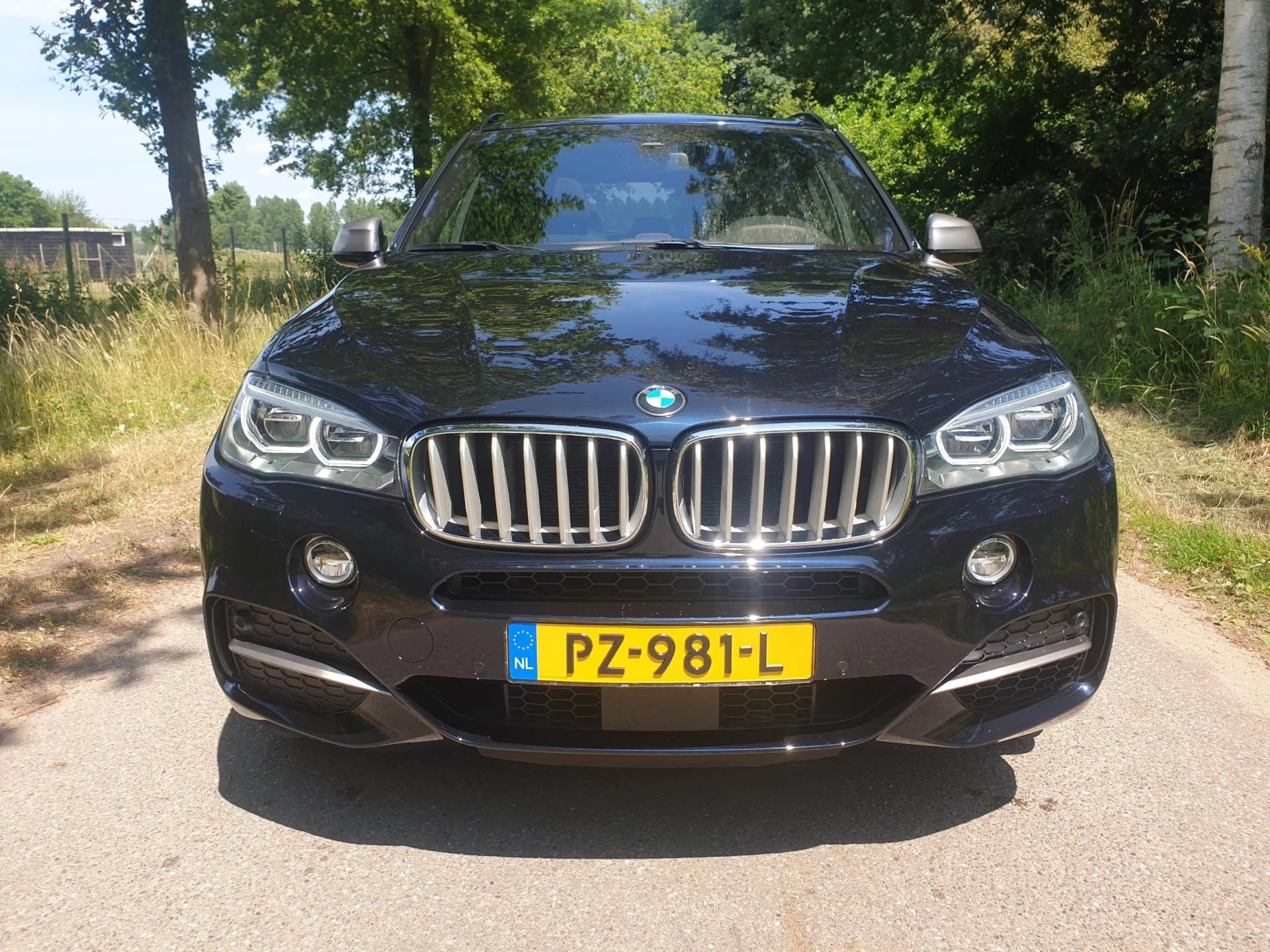 Hoofdafbeelding BMW X5