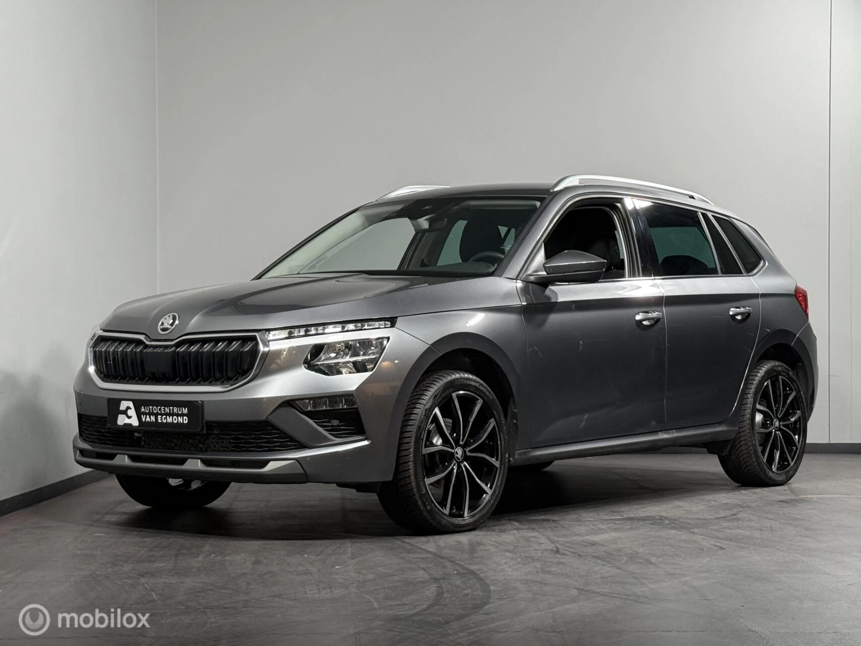 Hoofdafbeelding Škoda Kamiq