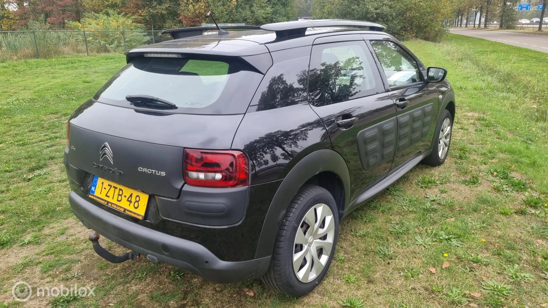 Hoofdafbeelding Citroën C4 Cactus
