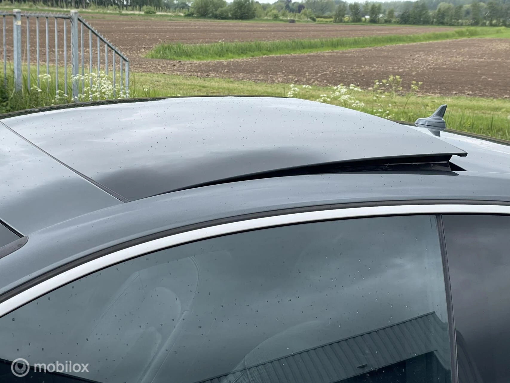 Hoofdafbeelding Audi RS5