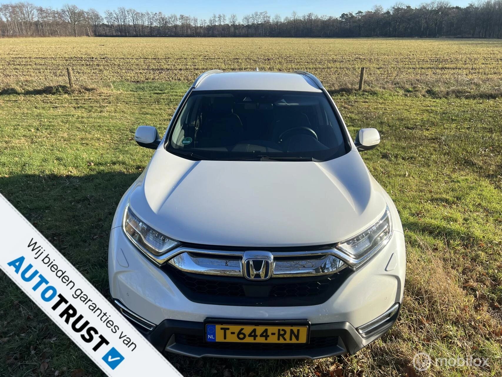 Hoofdafbeelding Honda CR-V