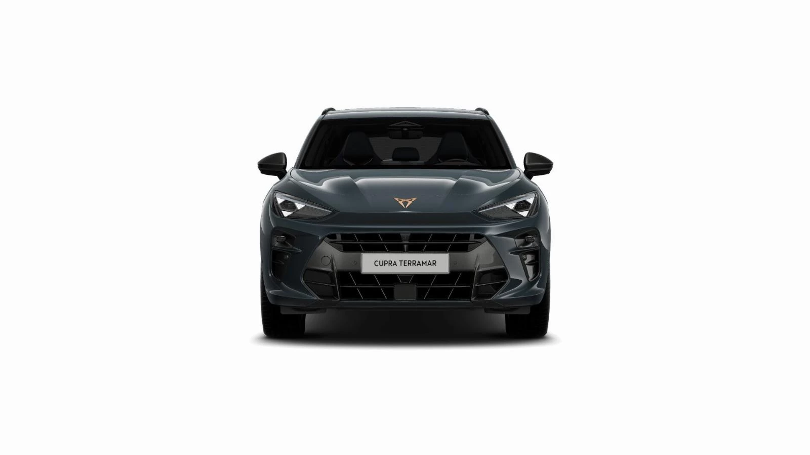 Hoofdafbeelding CUPRA Terramar