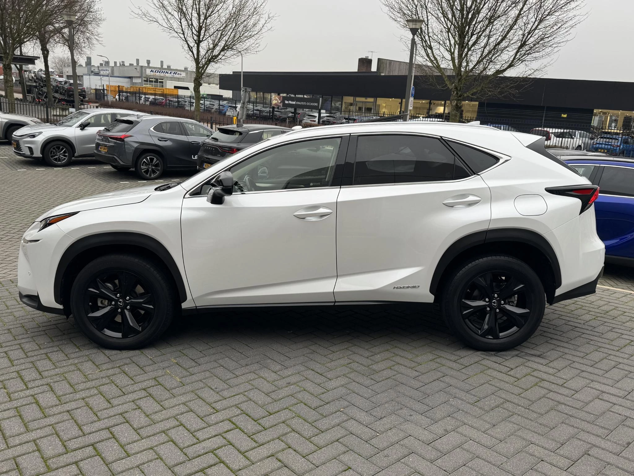Hoofdafbeelding Lexus NX