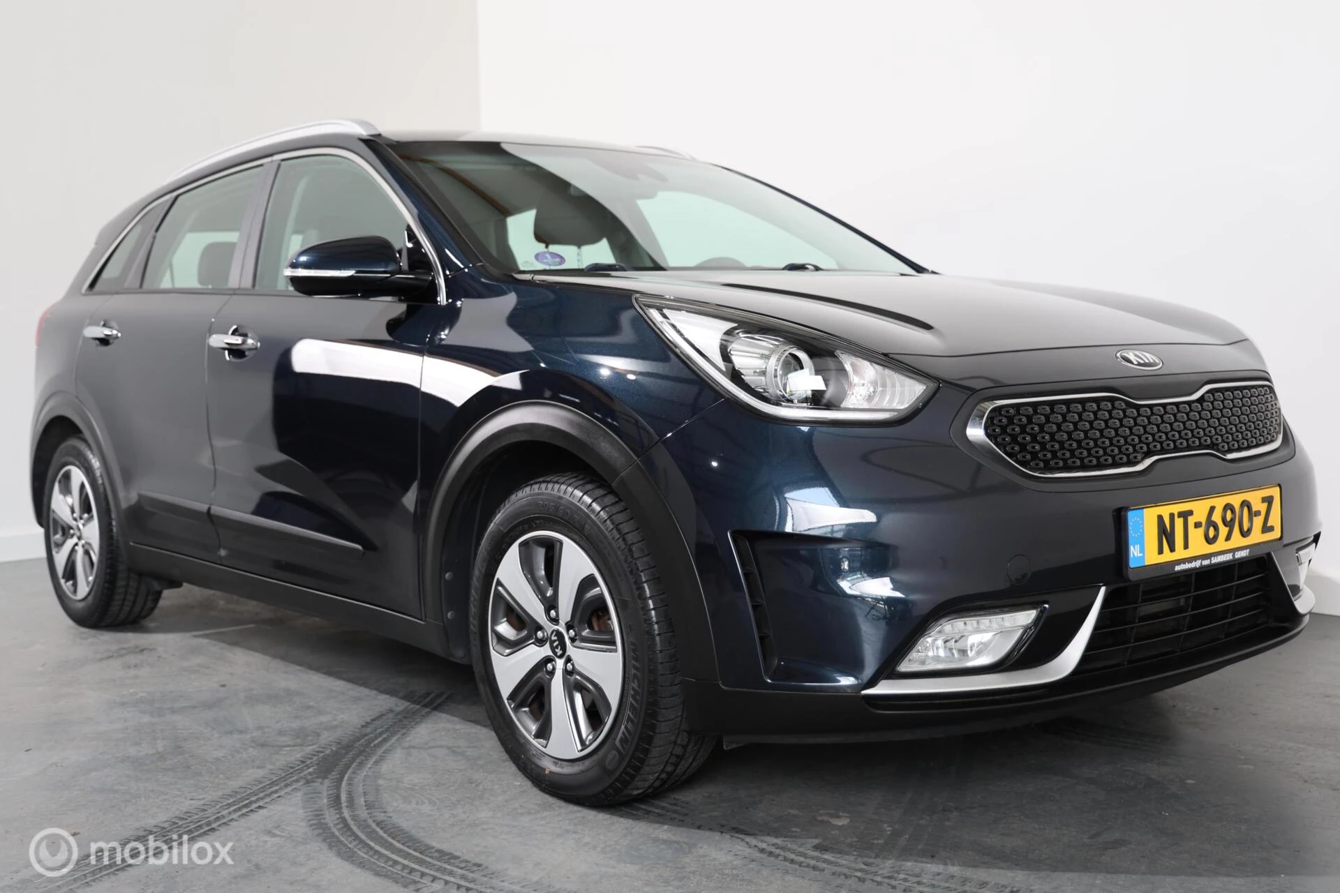 Hoofdafbeelding Kia Niro