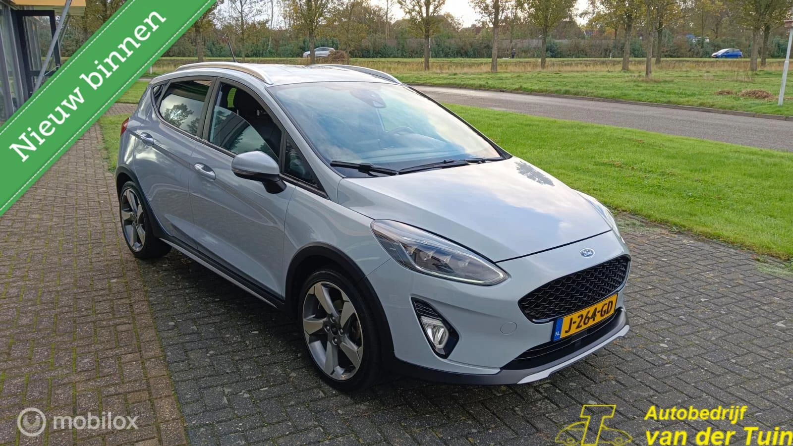 Hoofdafbeelding Ford Fiesta