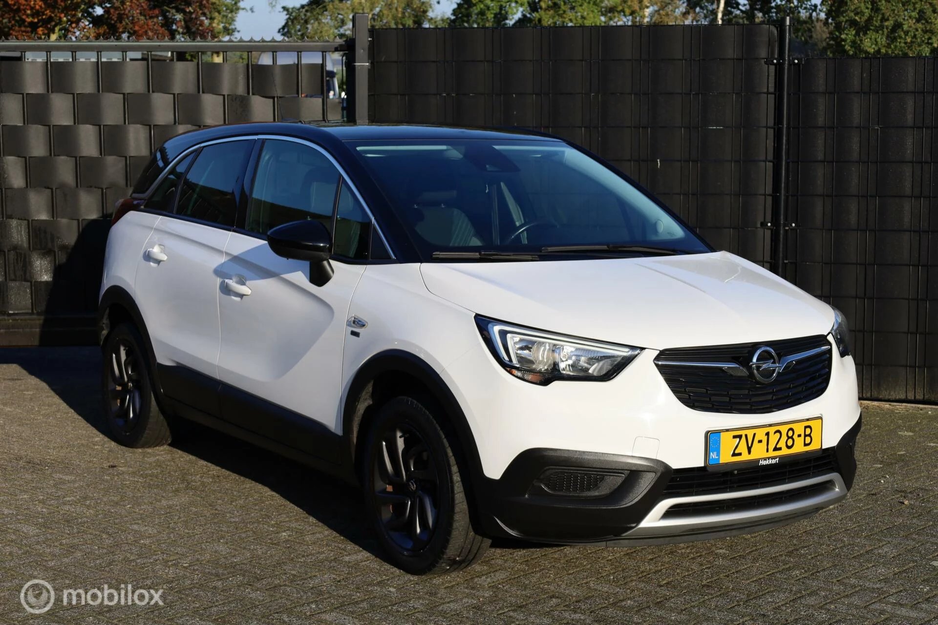 Hoofdafbeelding Opel Crossland X