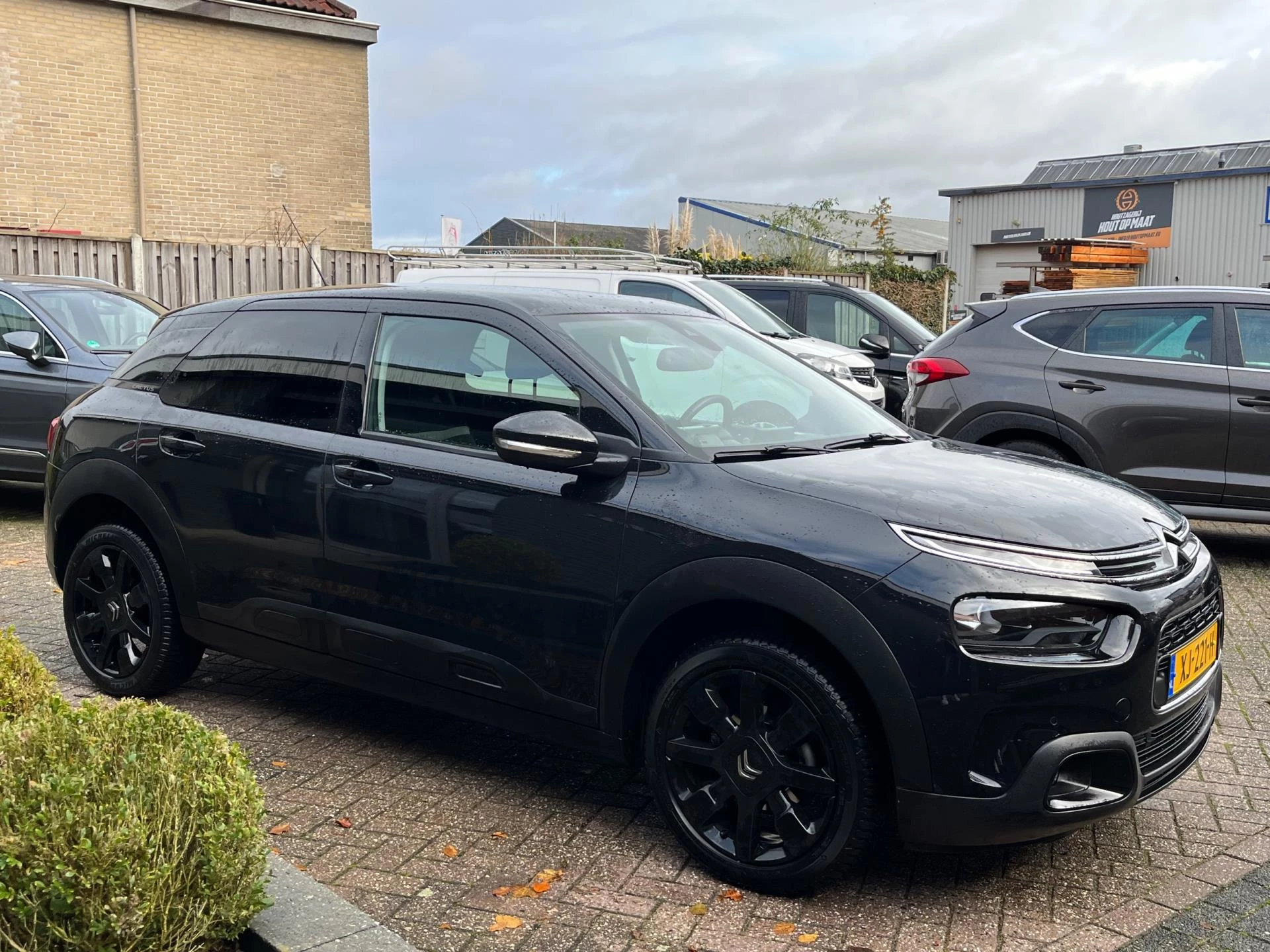 Hoofdafbeelding Citroën C4 Cactus