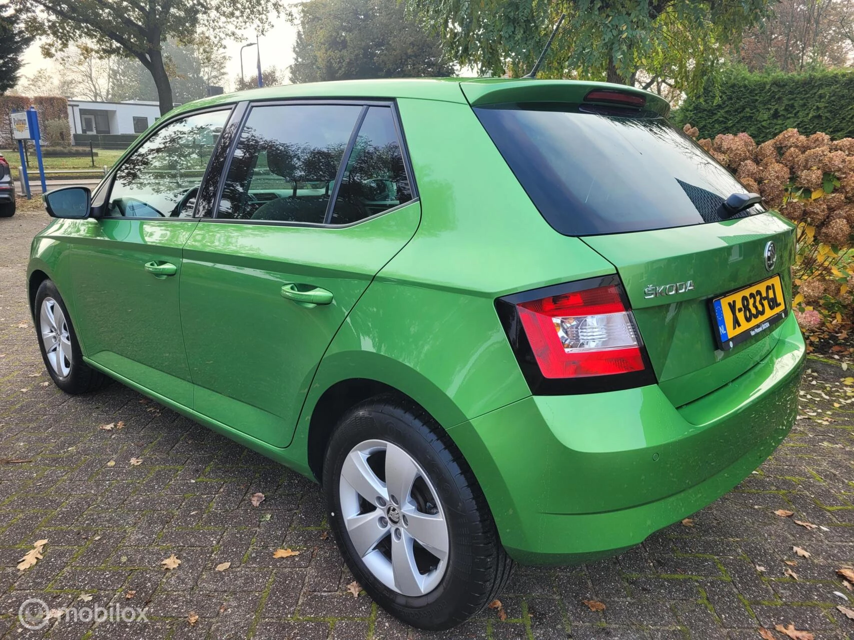 Hoofdafbeelding Škoda Fabia