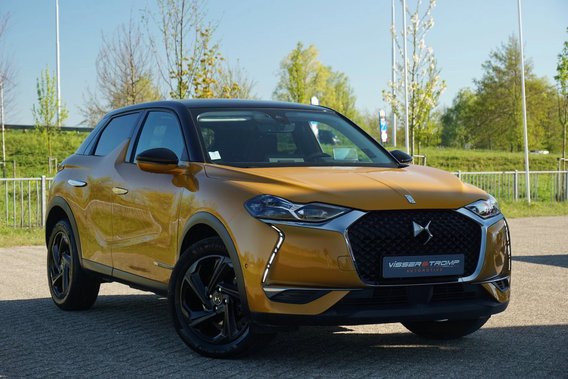 Hoofdafbeelding DS DS 3