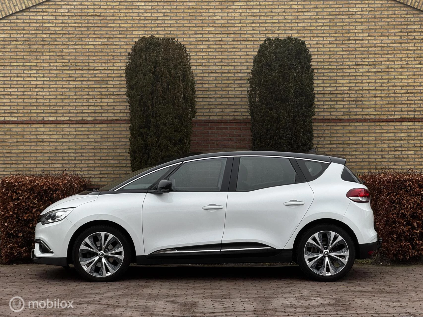 Hoofdafbeelding Renault Scénic