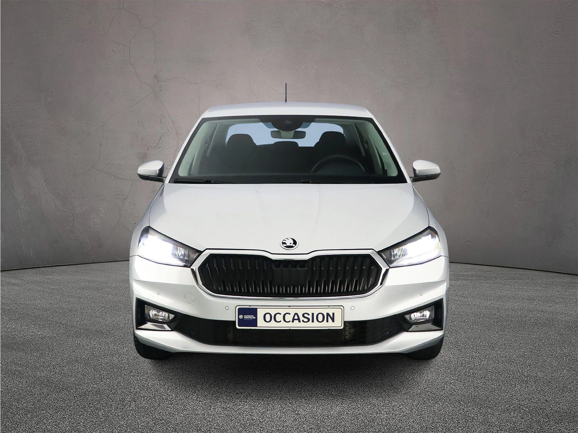 Hoofdafbeelding Škoda Fabia