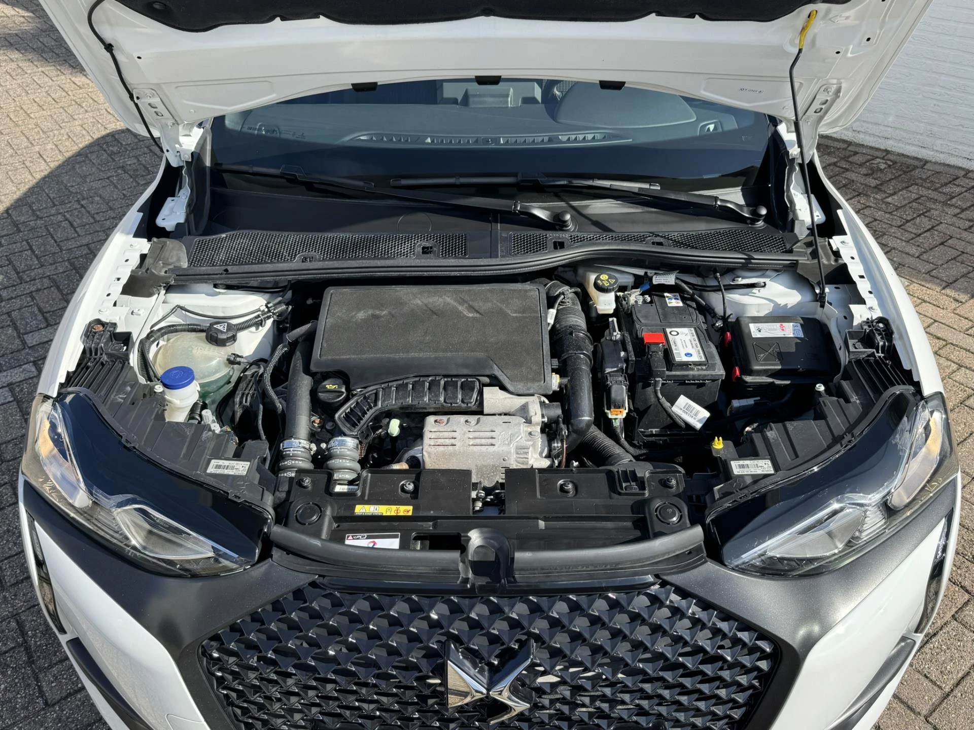 Hoofdafbeelding DS DS 3