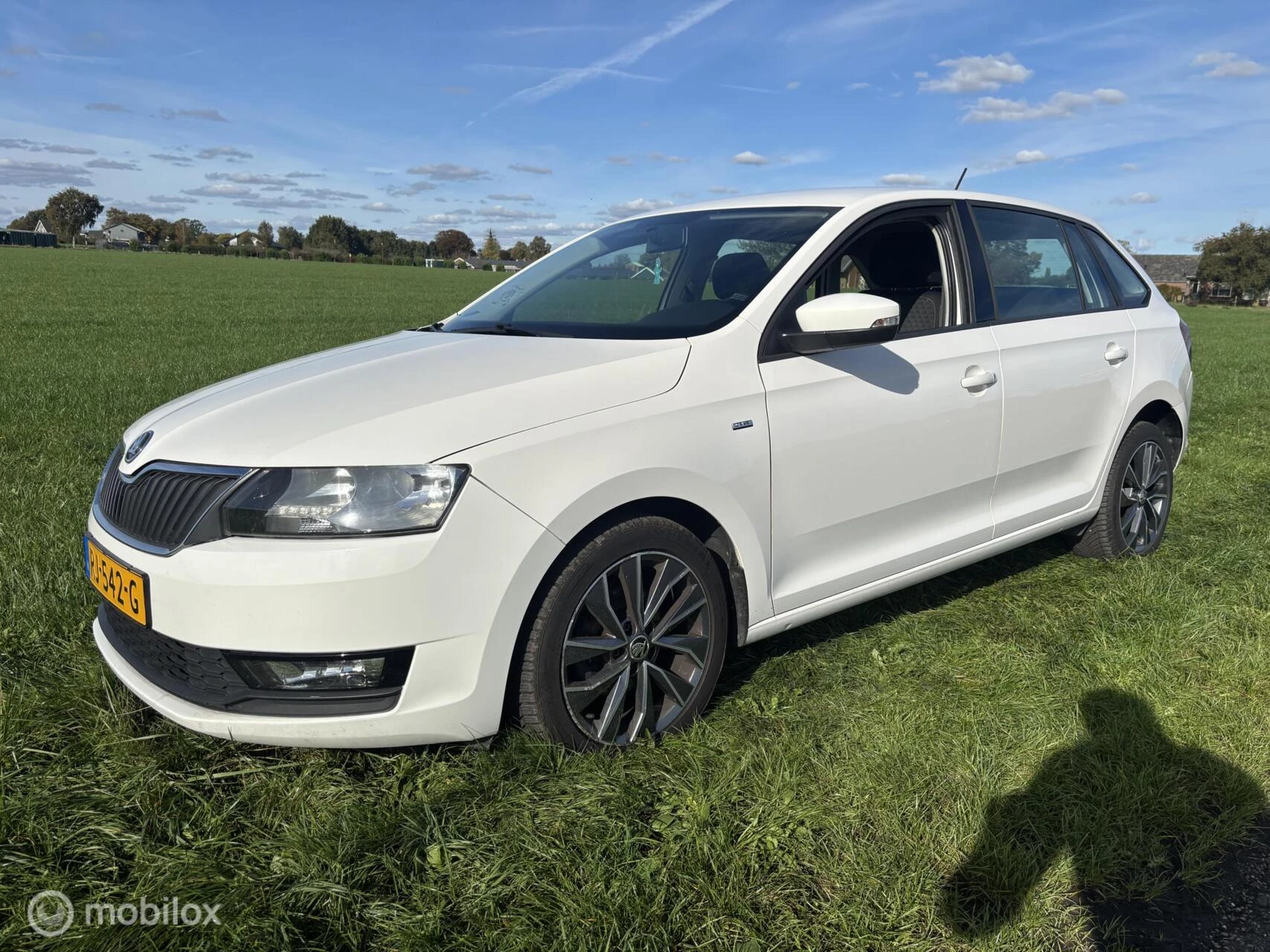 Hoofdafbeelding Škoda Rapid