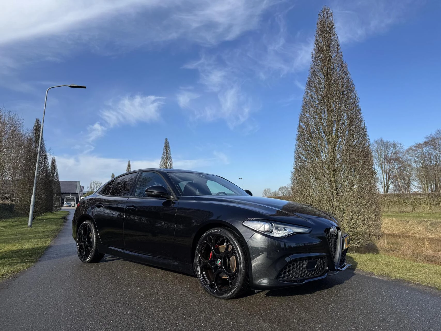 Hoofdafbeelding Alfa Romeo Giulia