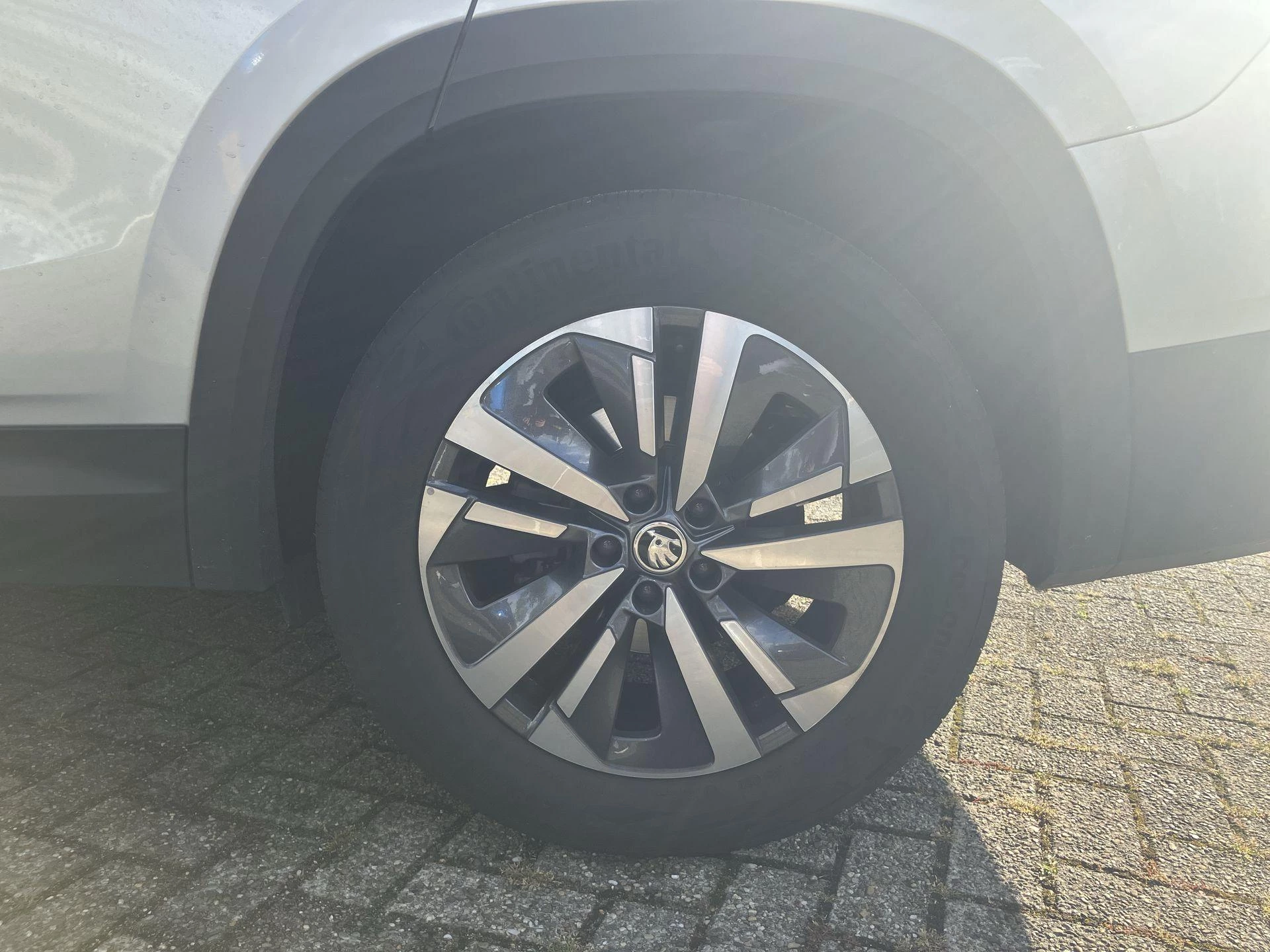 Hoofdafbeelding Škoda Kodiaq