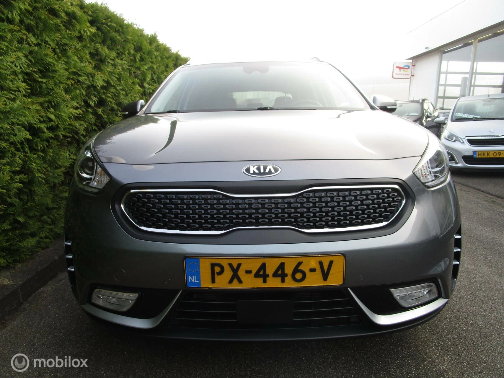 Hoofdafbeelding Kia Niro
