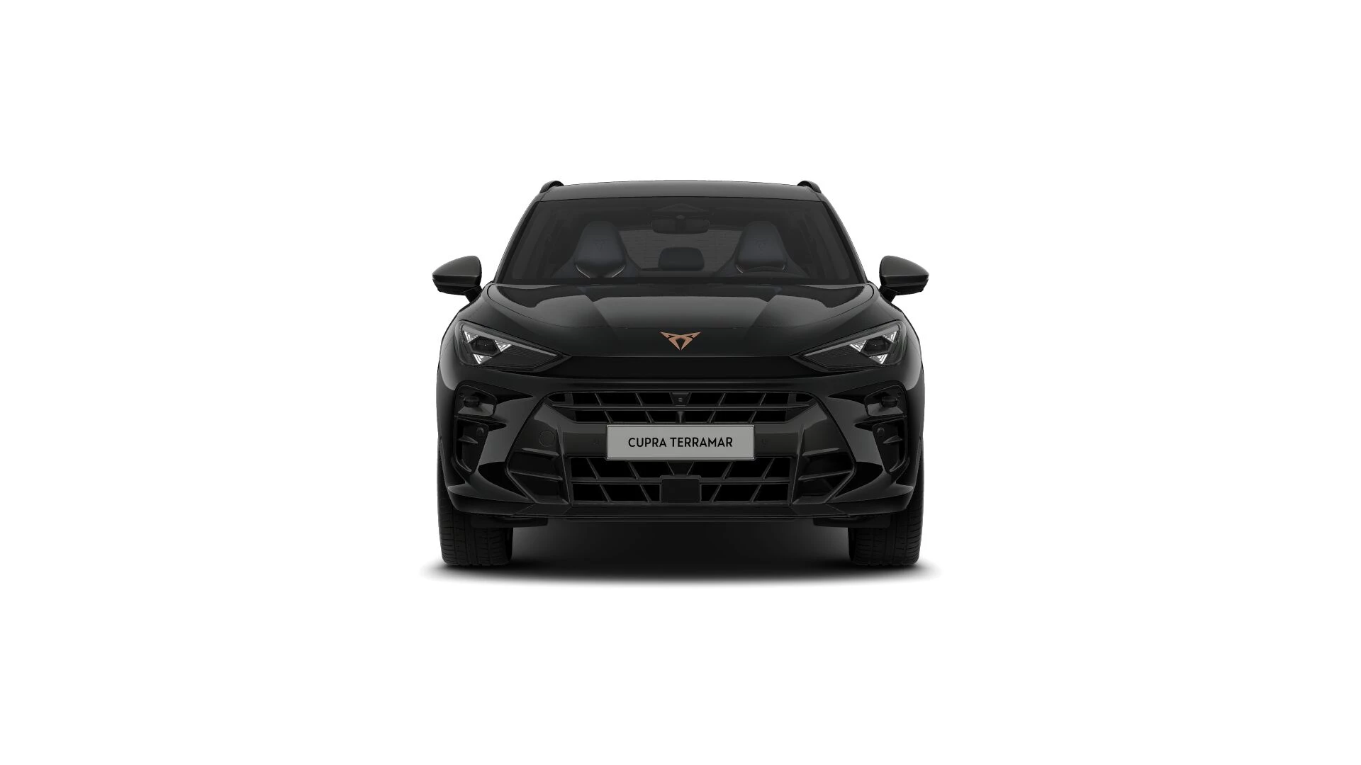 Hoofdafbeelding CUPRA Terramar