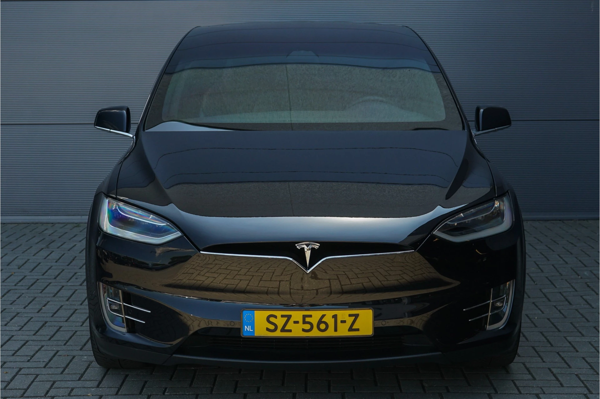 Hoofdafbeelding Tesla Model X