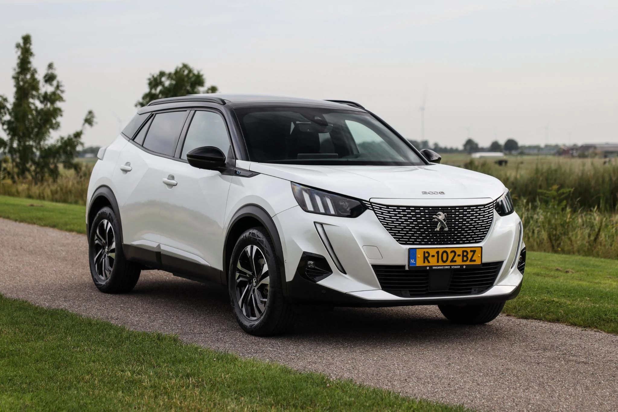Hoofdafbeelding Peugeot e-2008