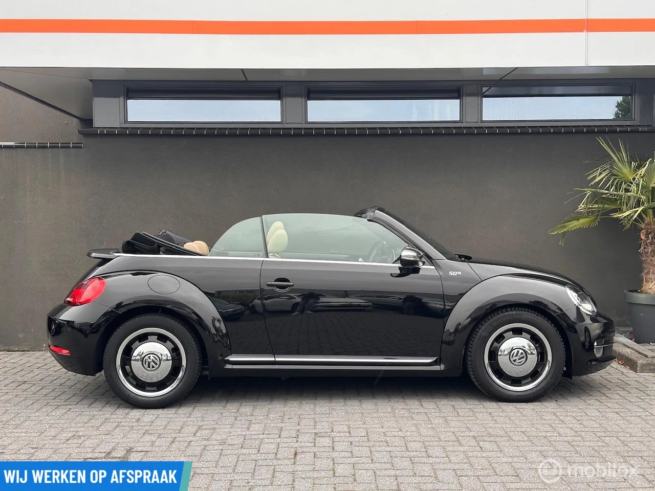 Hoofdafbeelding Volkswagen Beetle