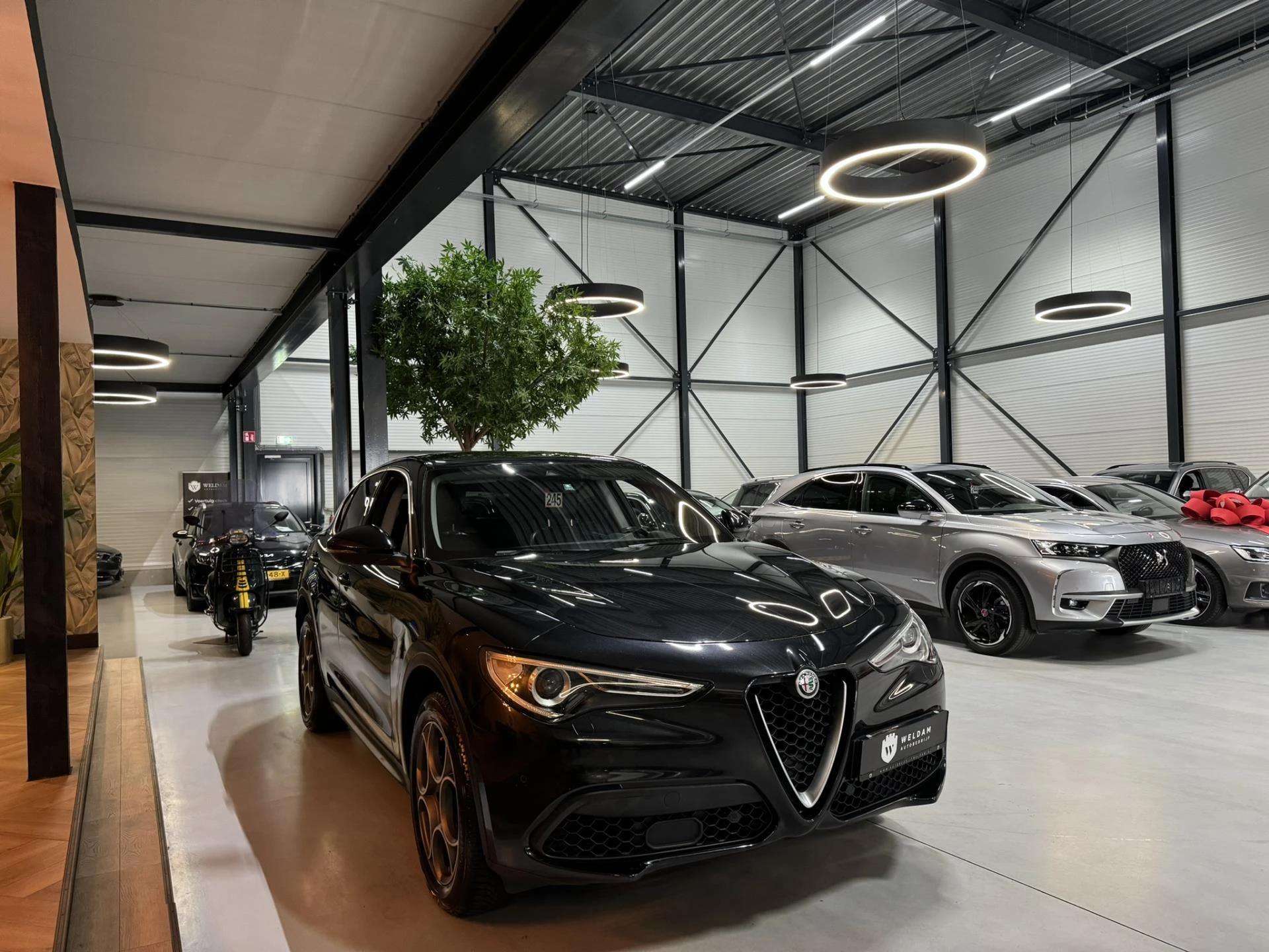 Hoofdafbeelding Alfa Romeo Stelvio