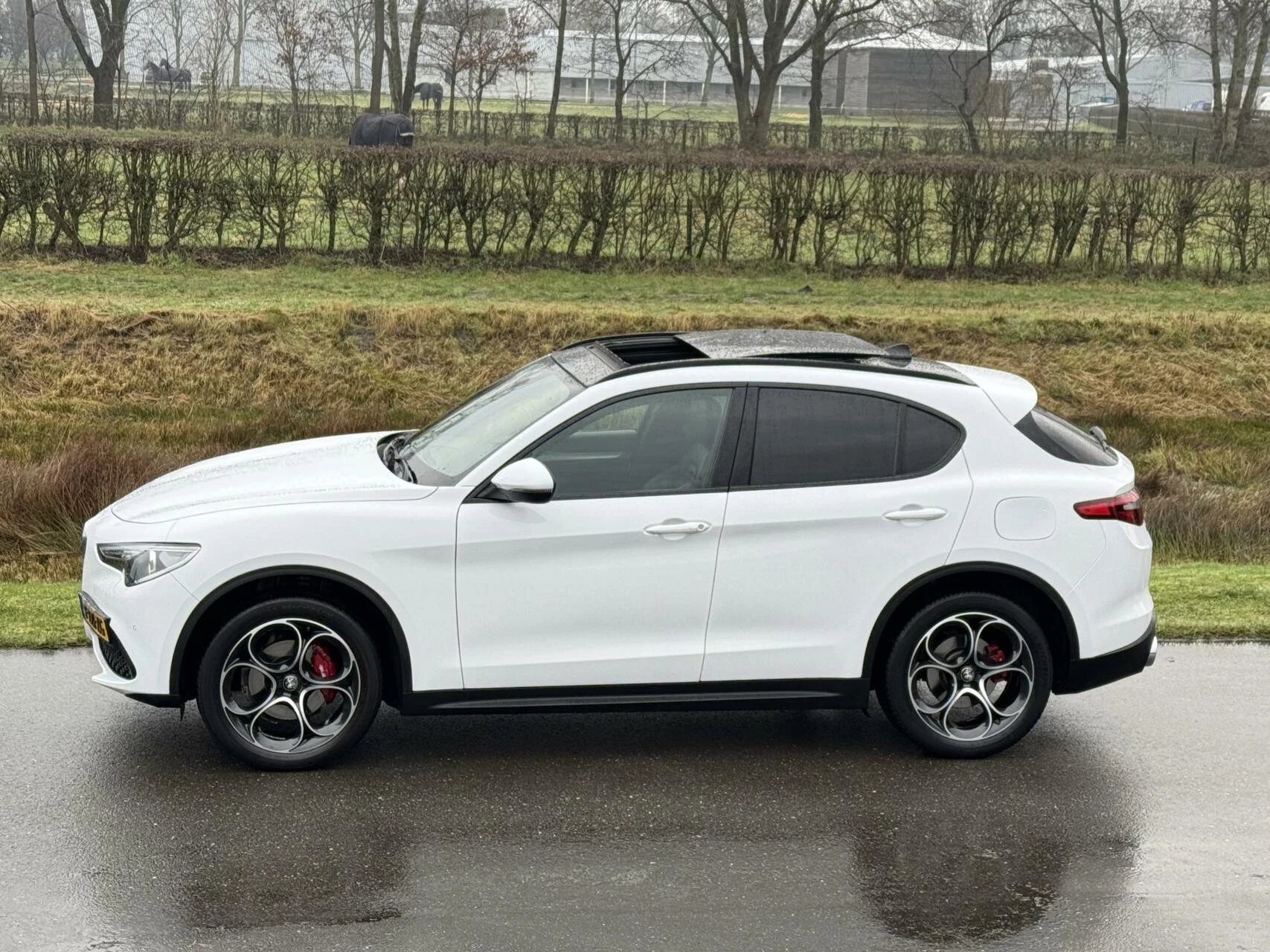 Hoofdafbeelding Alfa Romeo Stelvio