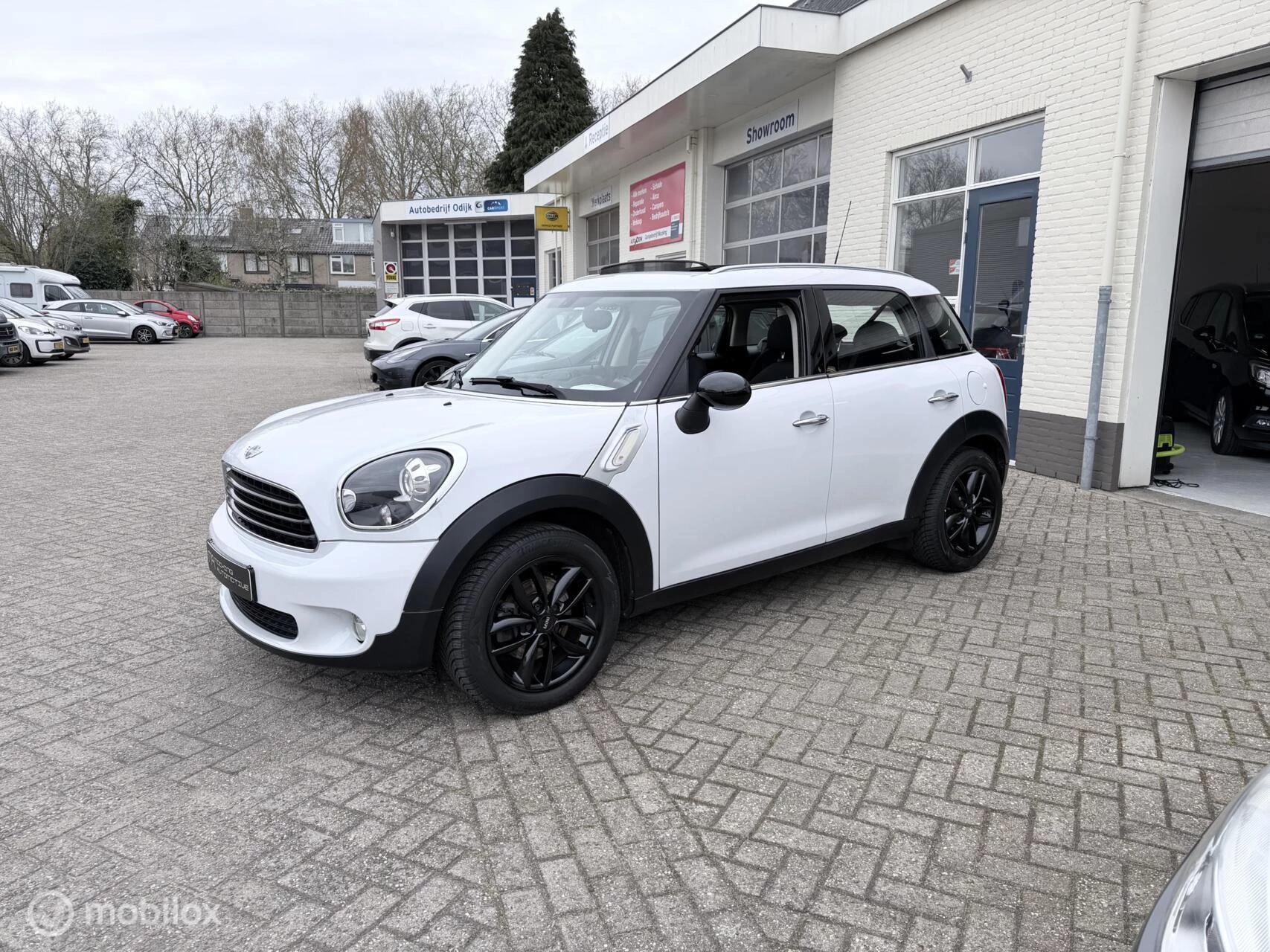 Hoofdafbeelding MINI Countryman