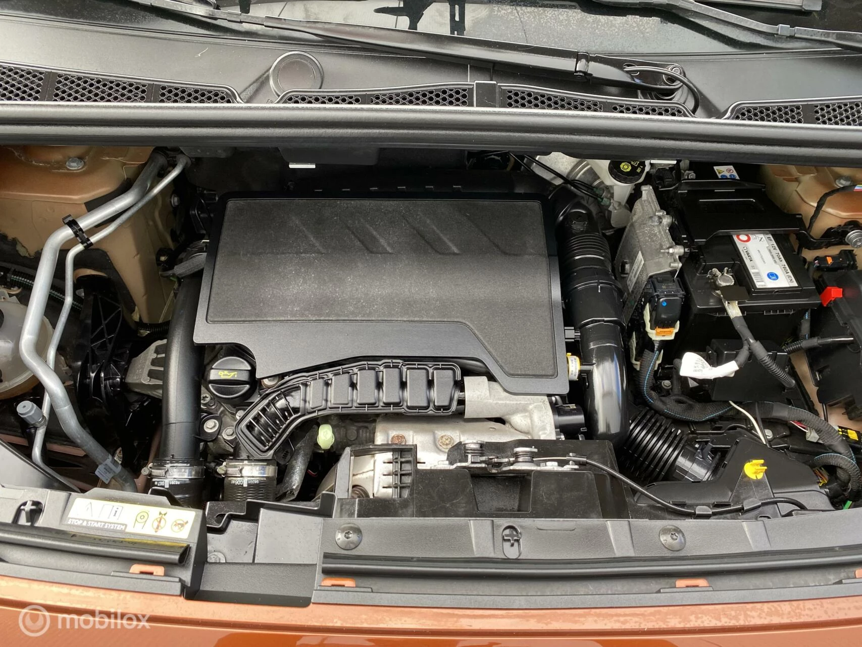 Hoofdafbeelding Peugeot Rifter