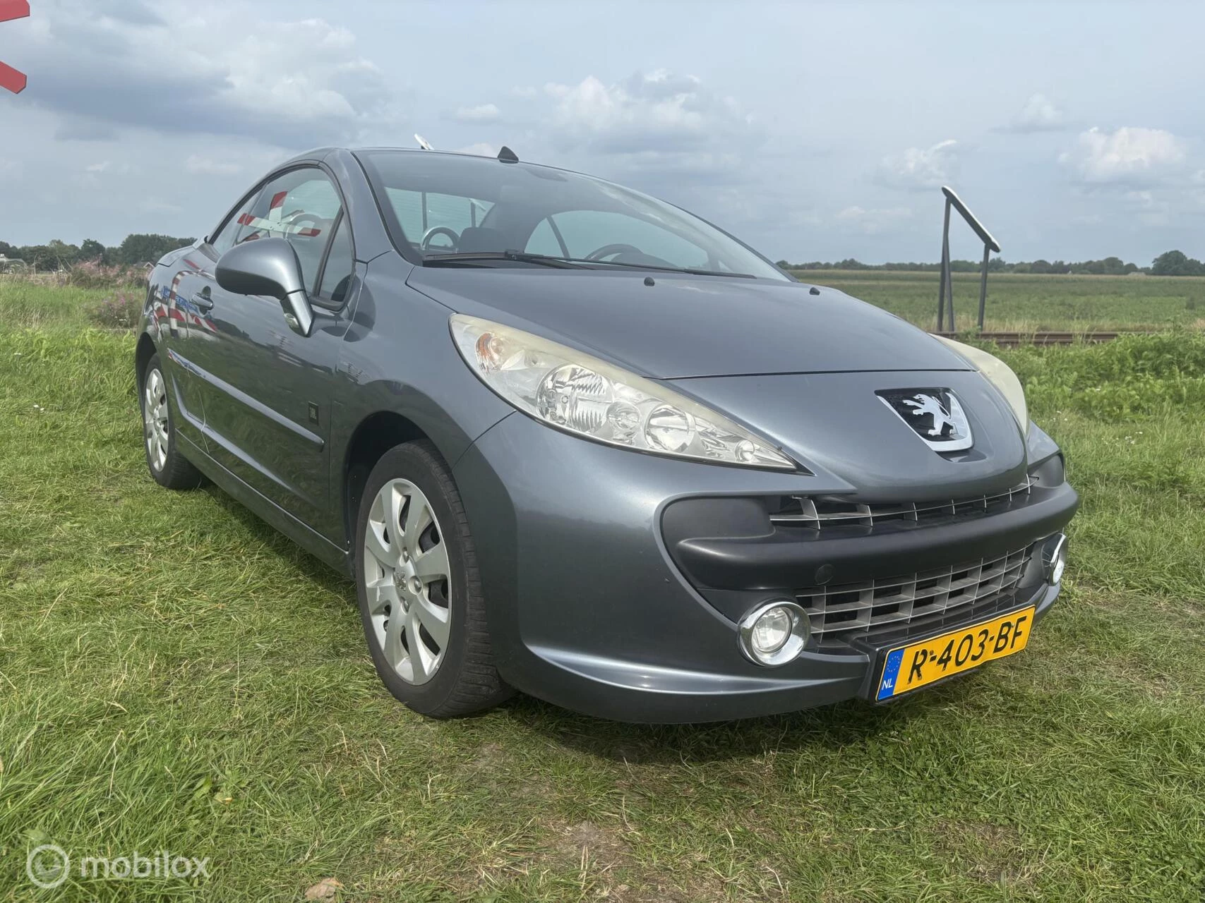 Hoofdafbeelding Peugeot 207