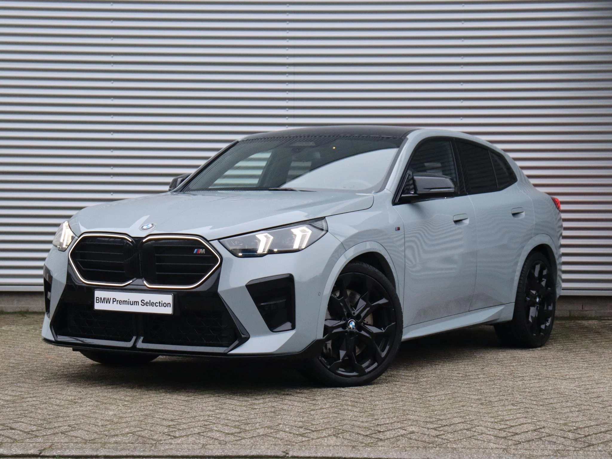 Hoofdafbeelding BMW X2