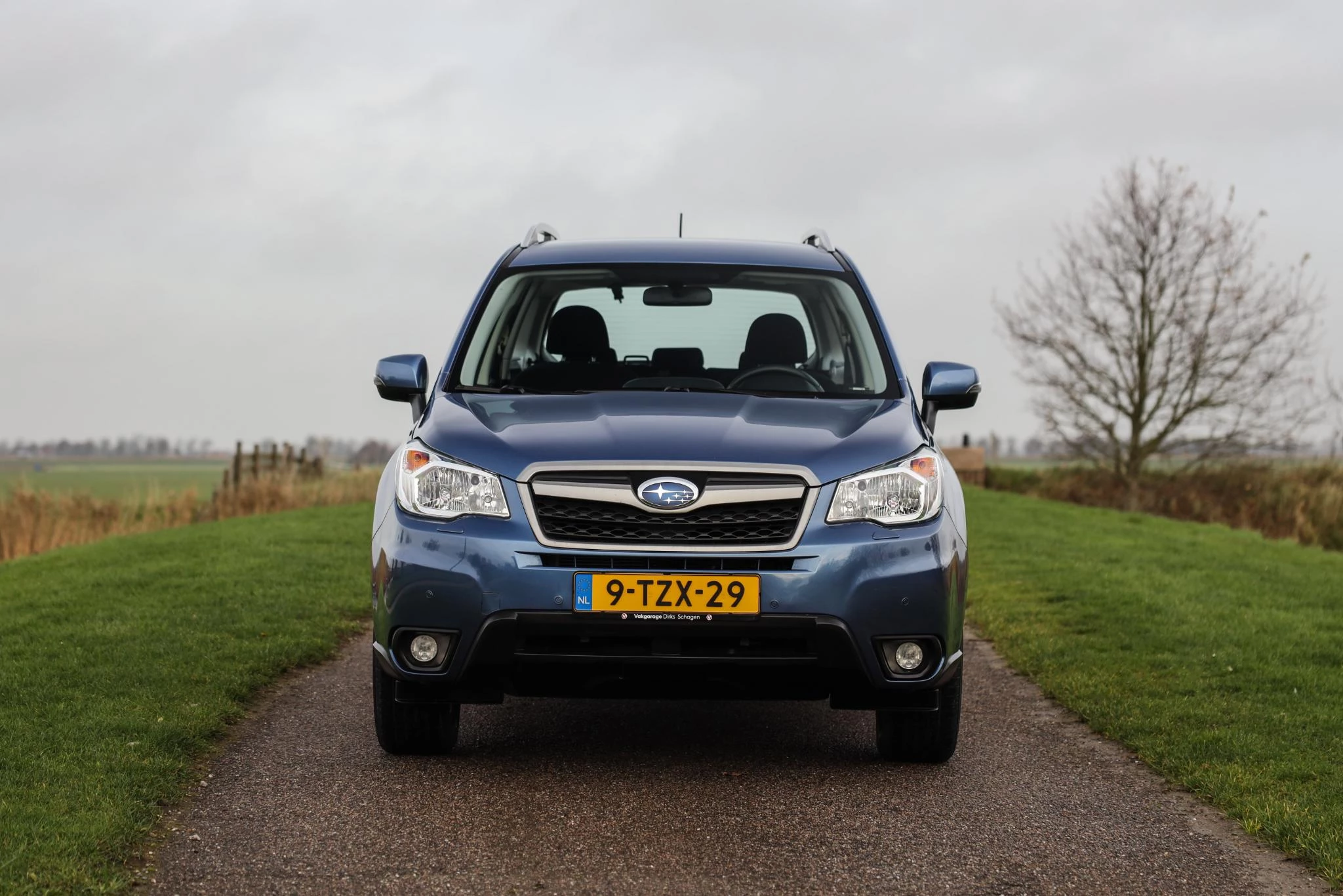 Hoofdafbeelding Subaru Forester