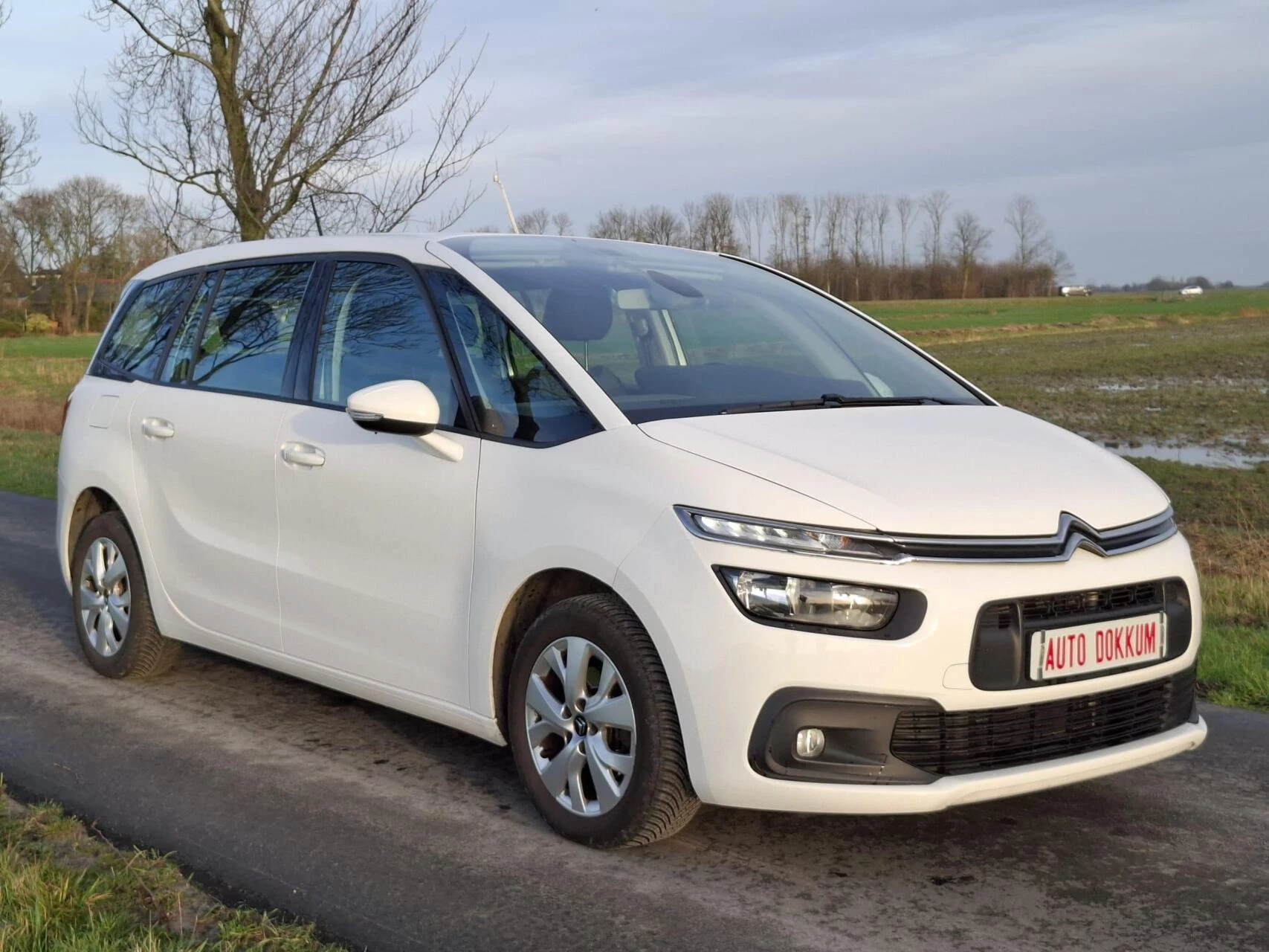 Hoofdafbeelding Citroën C4 Spacetourer
