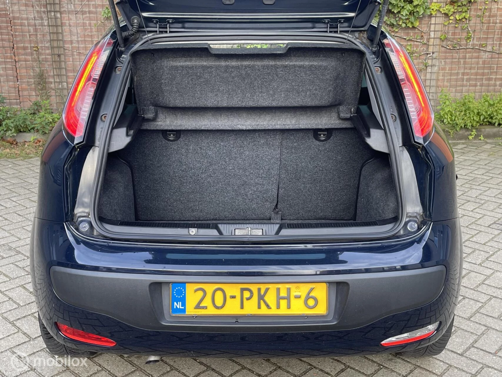 Hoofdafbeelding Fiat Punto