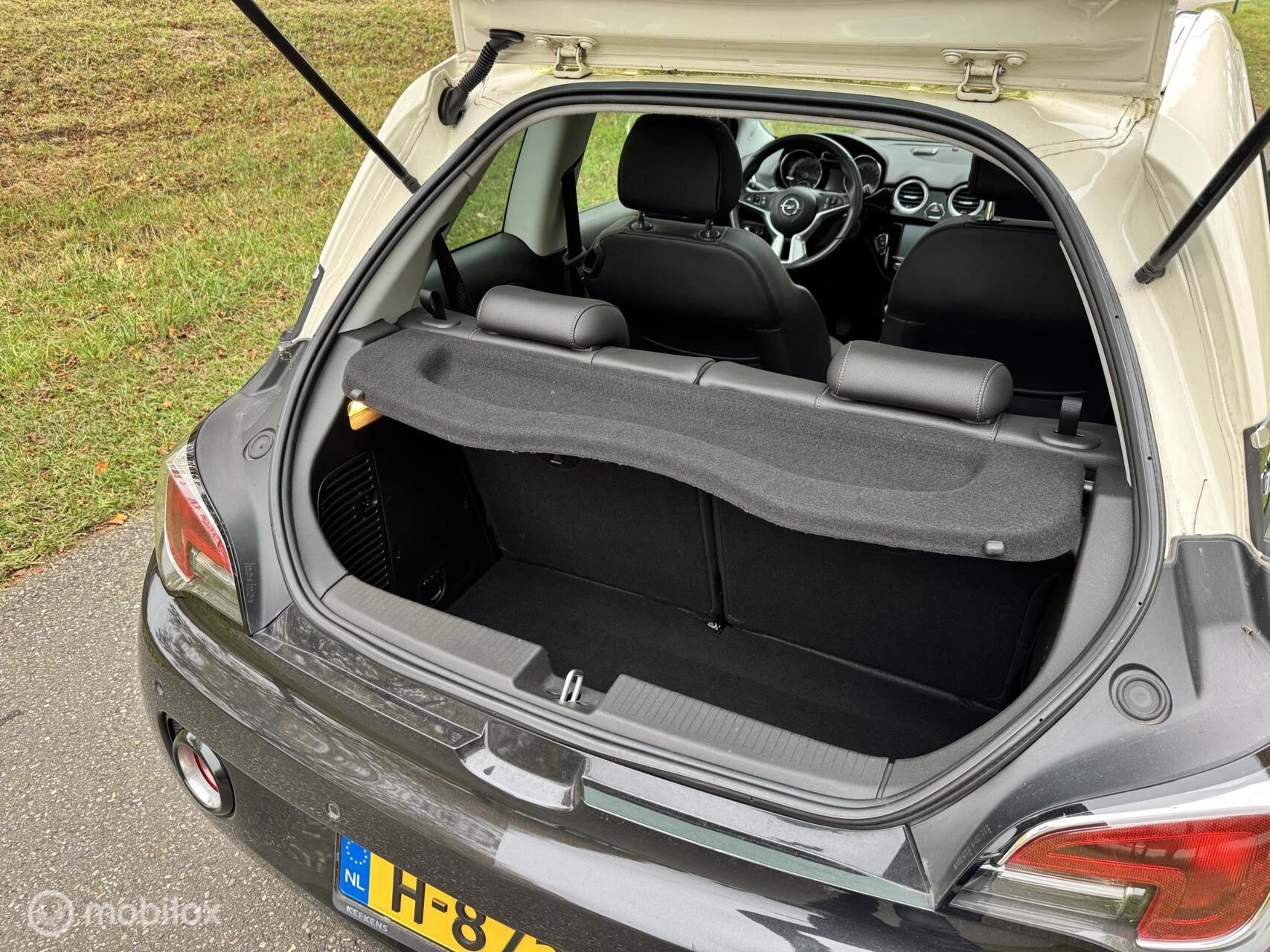 Hoofdafbeelding Opel ADAM
