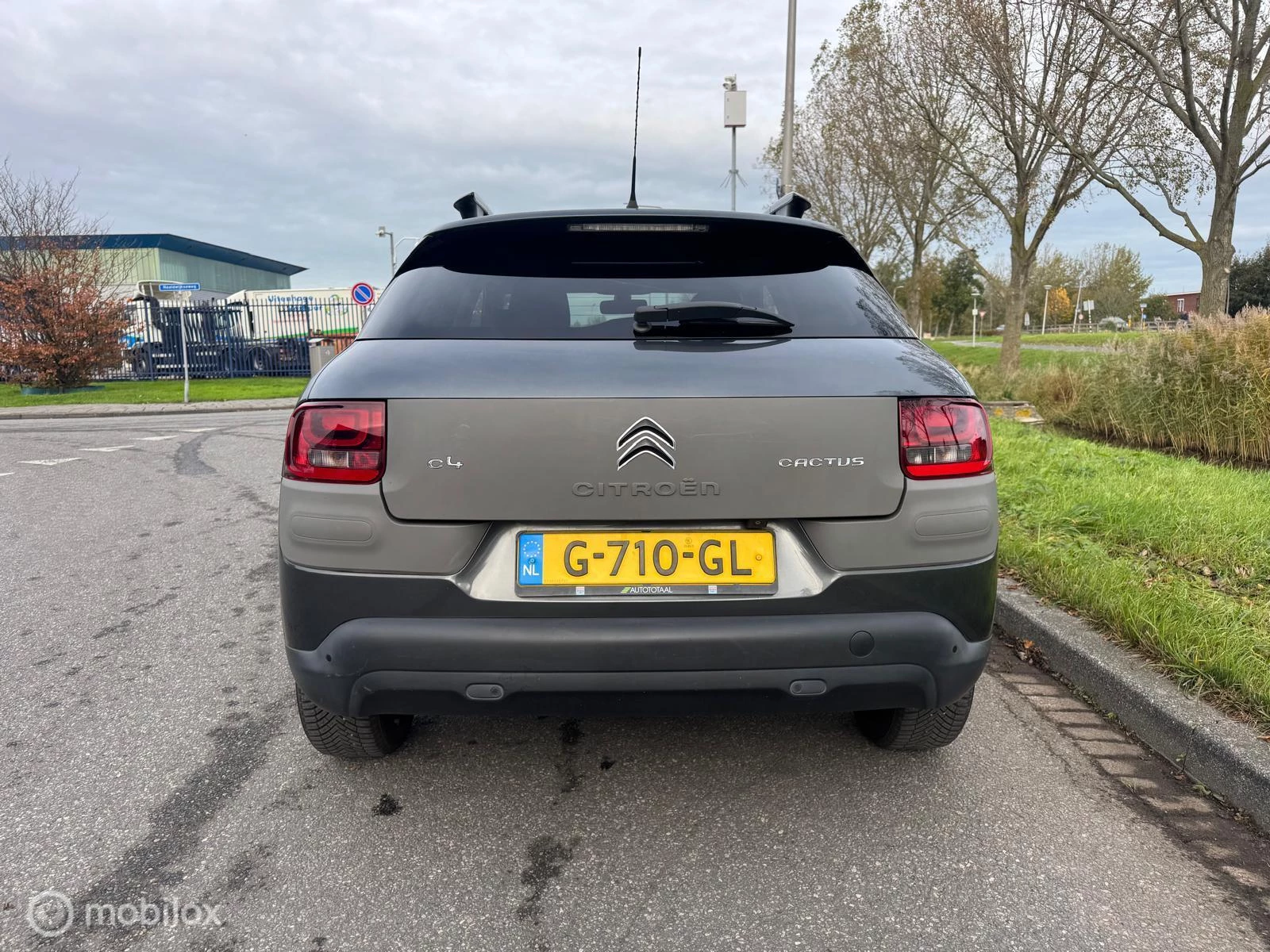 Hoofdafbeelding Citroën C4 Cactus