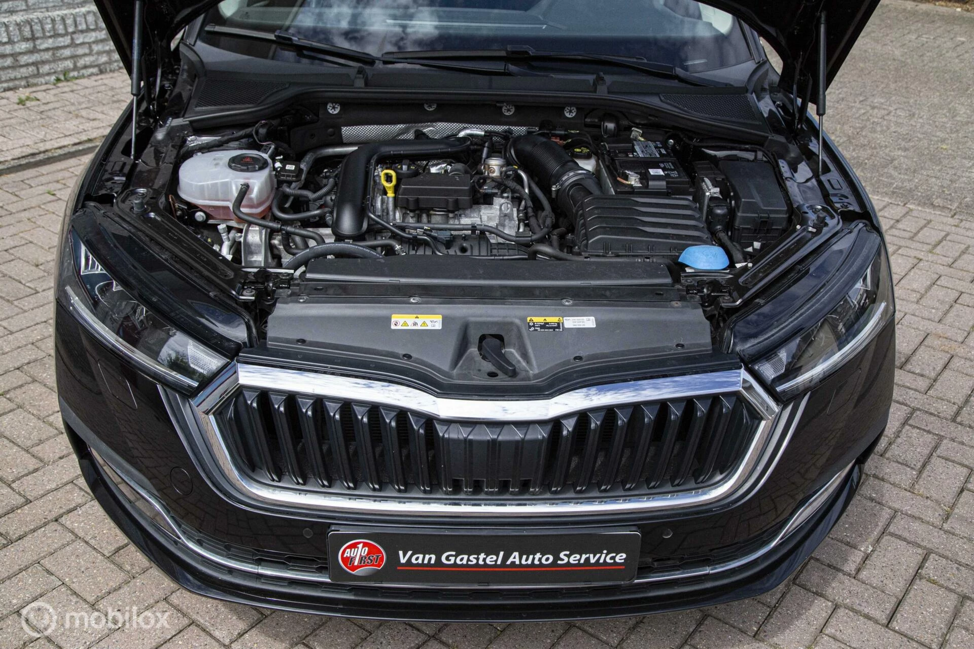 Hoofdafbeelding Škoda Octavia