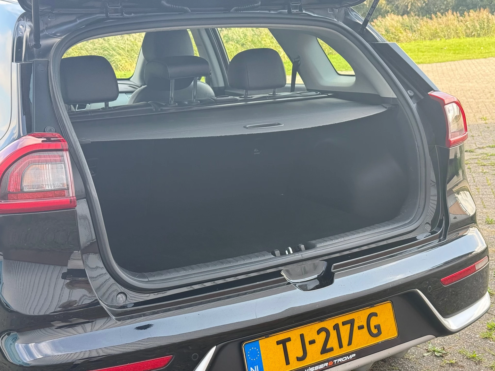 Hoofdafbeelding Kia Niro