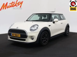 Mini Mini 1.2 One Salt Business