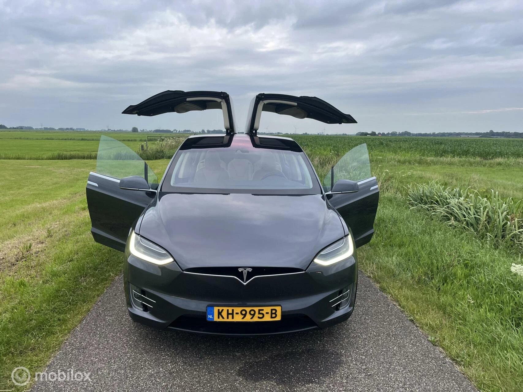 Hoofdafbeelding Tesla Model X