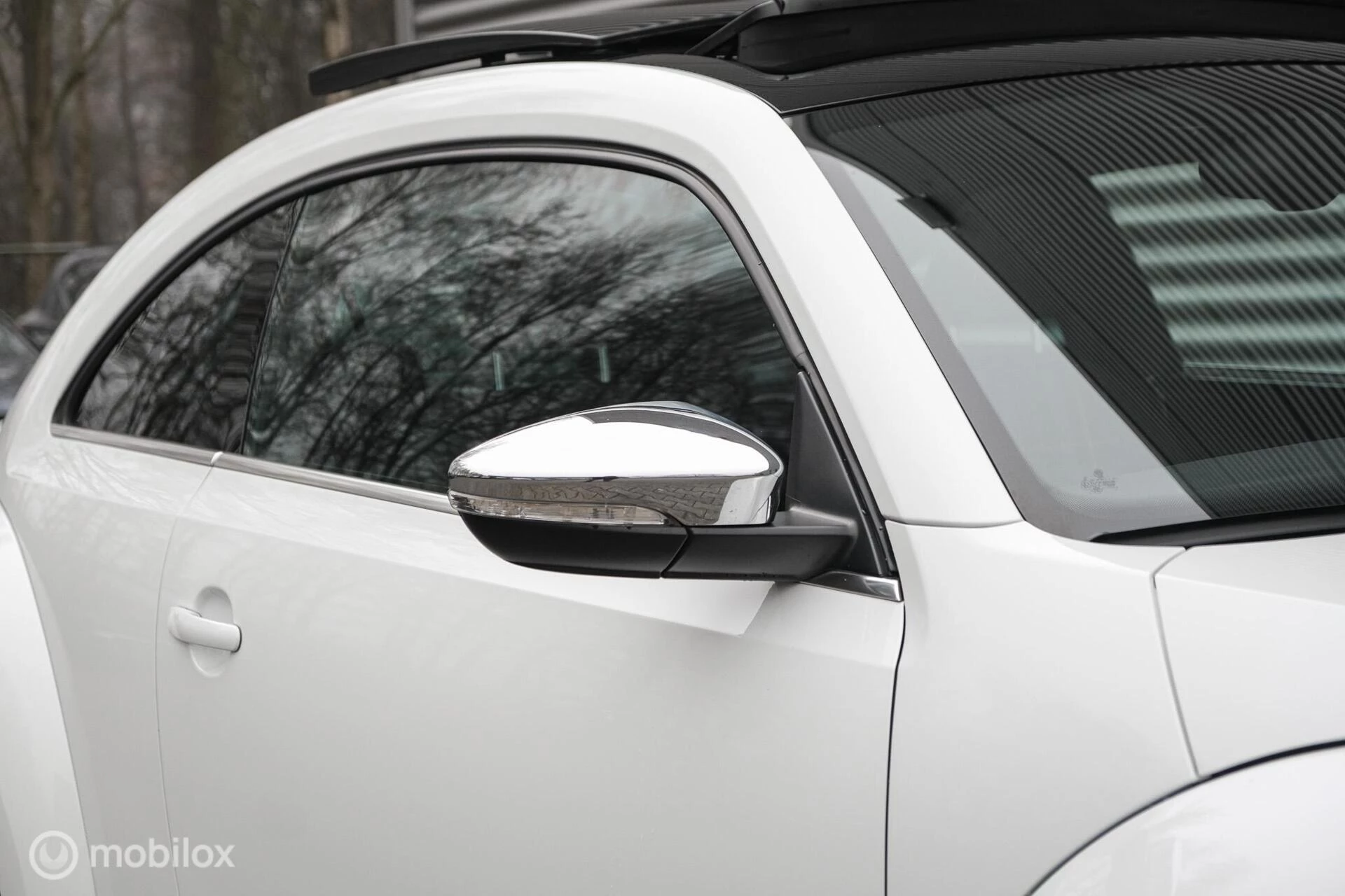 Hoofdafbeelding Volkswagen Beetle