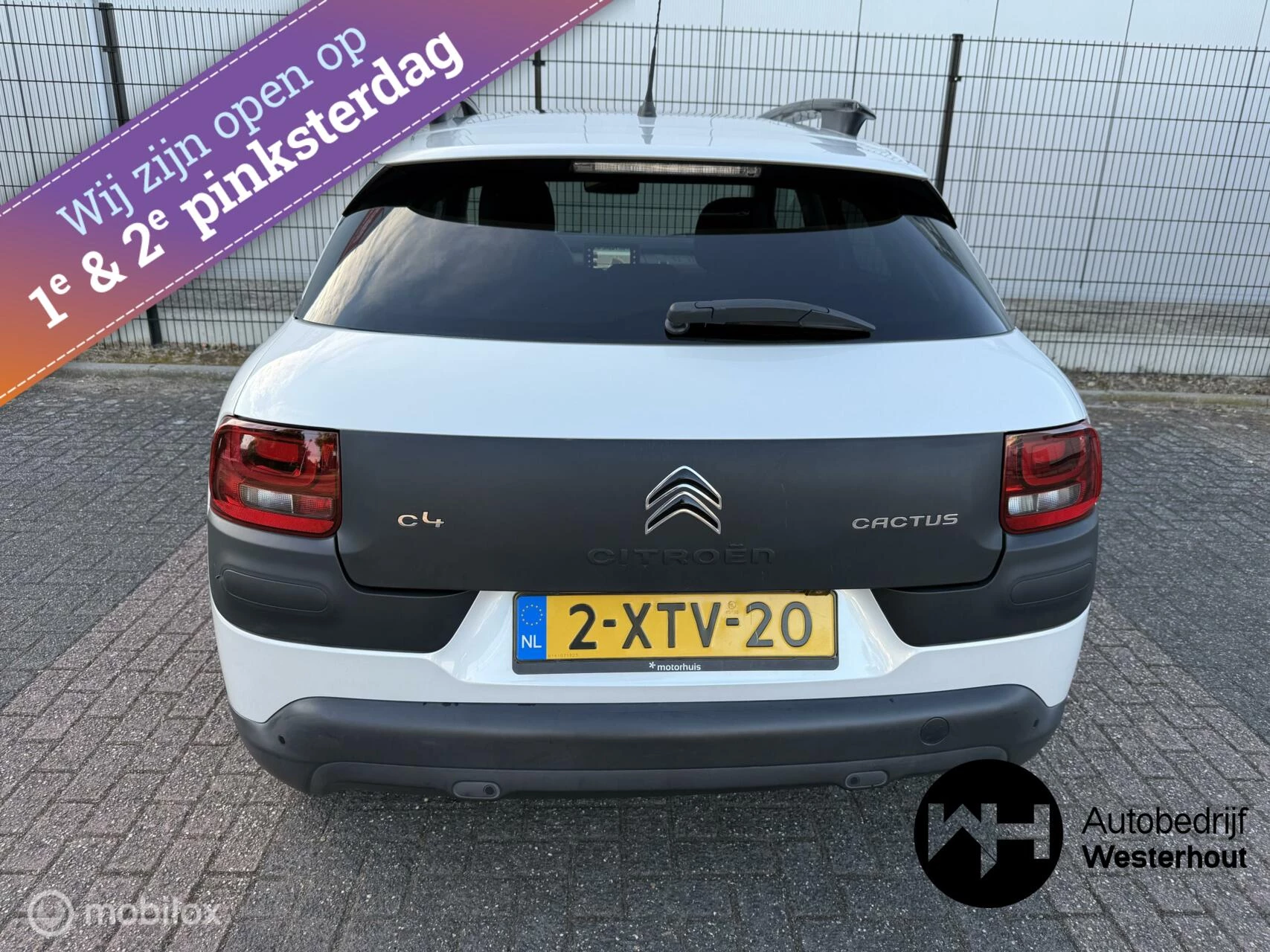 Hoofdafbeelding Citroën C4 Cactus