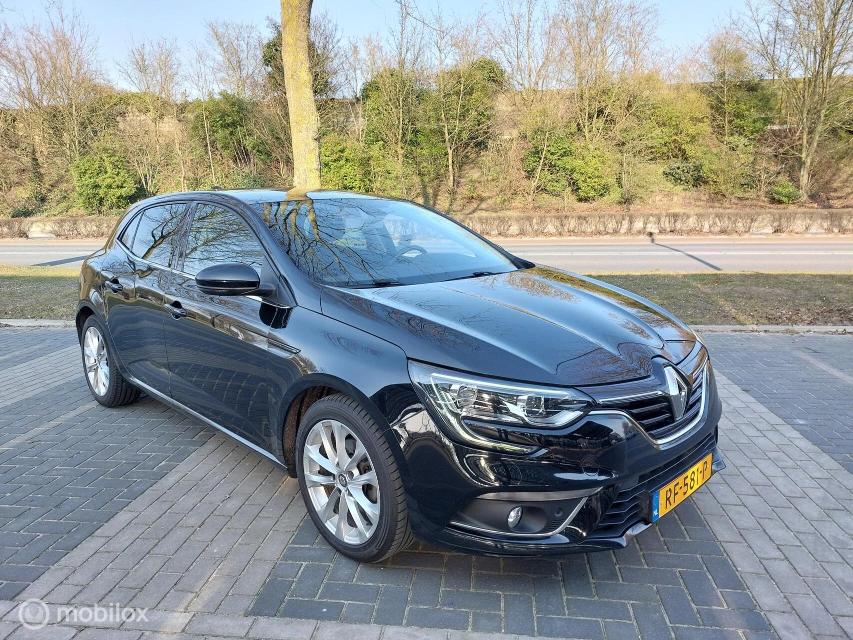 Hoofdafbeelding Renault Mégane