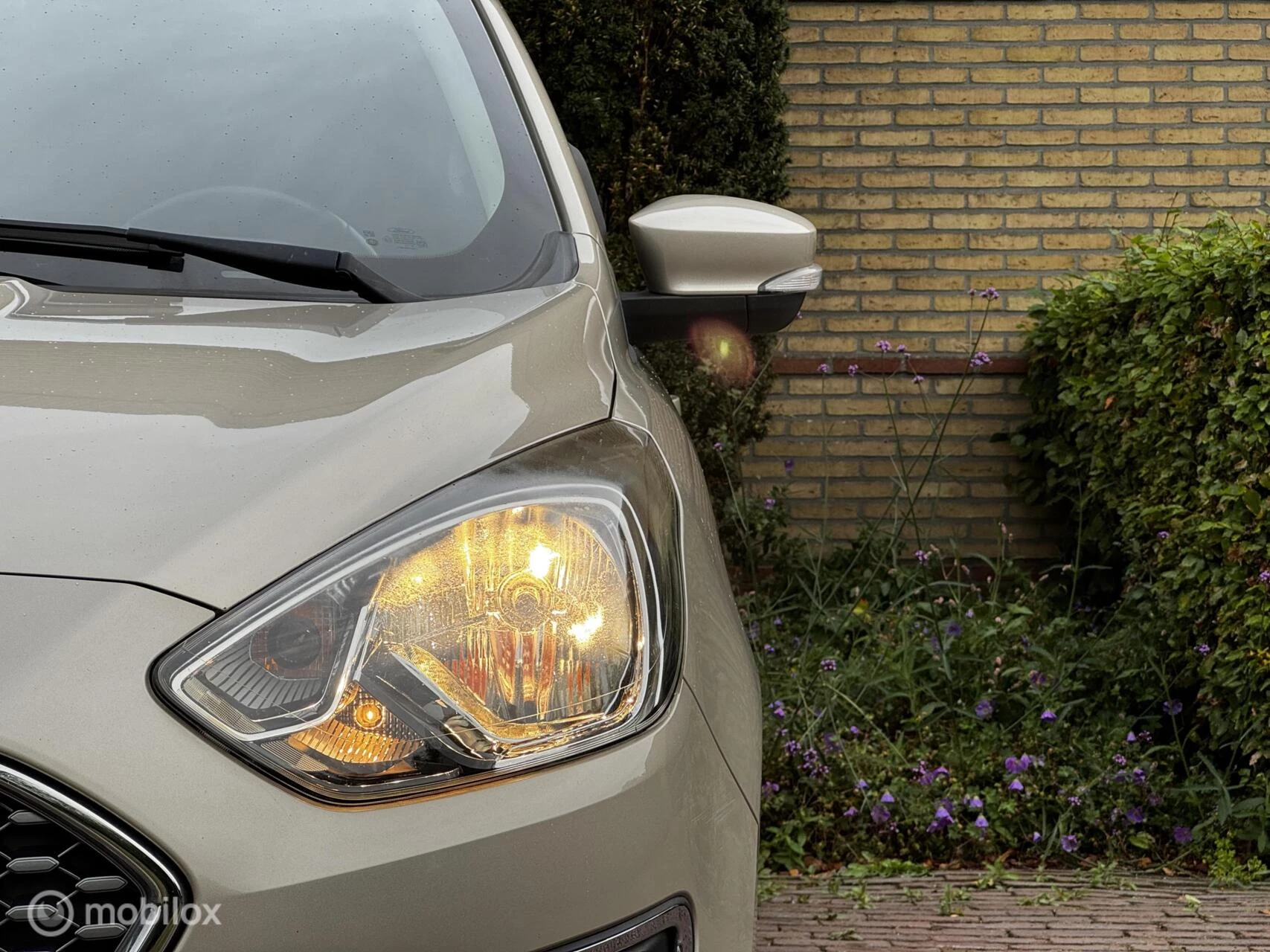 Hoofdafbeelding Ford Ka