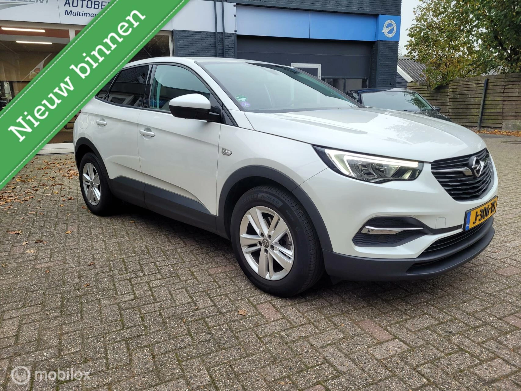 Hoofdafbeelding Opel Grandland X